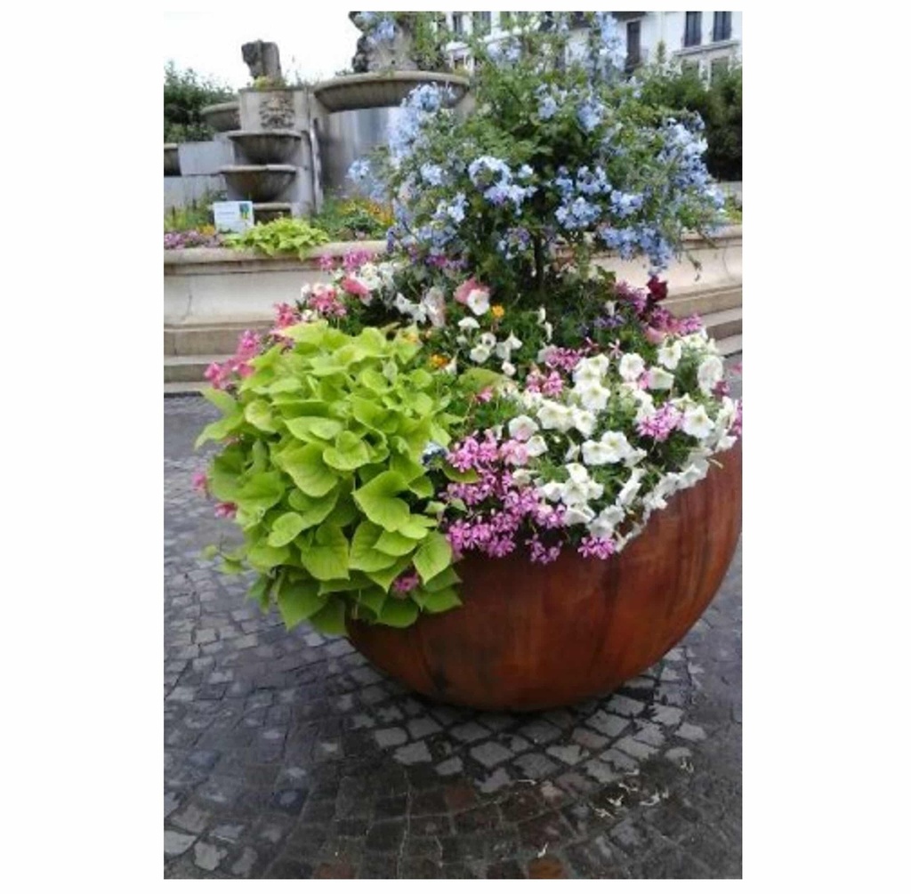 MAXIMO 1200 H 1150 CORTEN