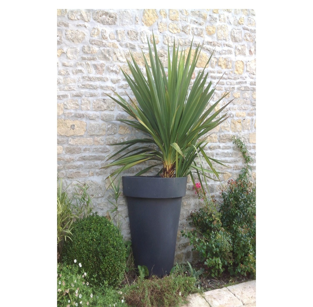 POT 1/2 ROND DECO LISSE