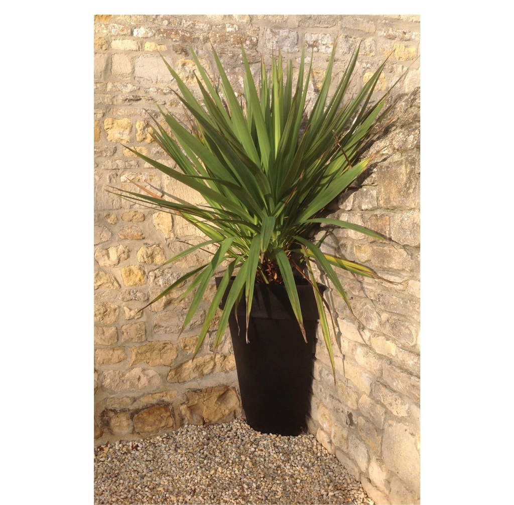 POT 1/4 ROND DECO LISSE