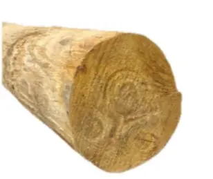 PIQUET ECORCE EN CHATAIGNIER                                                    