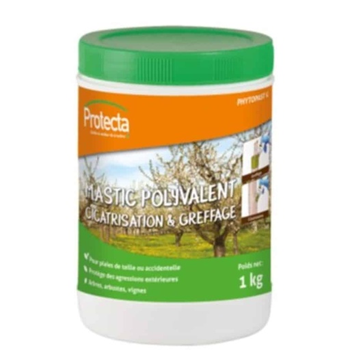 [AEDEPV-CIC-01011] MASTIC A GREFFER ET A CICATRISER SOUPLE POLYVALENT - POT DE 1 KG