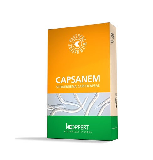 [KOP04450] CAPSANEM, STEINERNEMA CARPOCAPSAE BOITE DE 50 MILLIONS D'IND