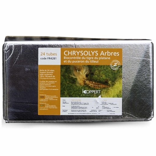 [KOPFR4281] CHRYSOLYS ARBRES, ŒUFS DE CHRYSOPERLA LUCASINA SUPPORTS A SUSPENDRE, BOITE DE 24 SUPPORTS (2800 OEUFS)