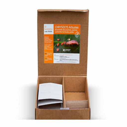 [KOPFR4283] CHRYSOLYS ARBUSTES, ŒUFS DE CHRYSOPERLA LUCASINA SUPPORTS A SUSPENDRE, CARNET DE 5 X 32 BANDELETTES (1000 OEUFS)