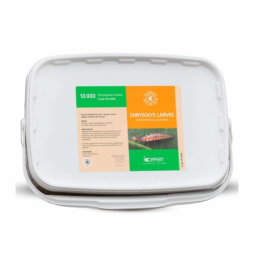 [KOPFR4284] CHRYSOLYS, LARVES DE CHRYSOPERLA LUCASINA, SEAU DE 10 000 LARVES