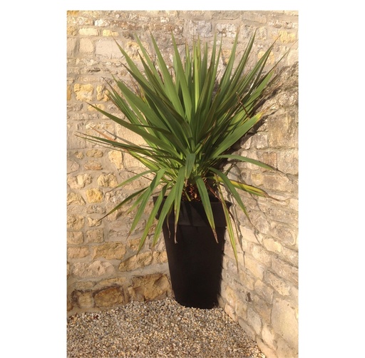 POT 1/4 ROND DECO LISSE